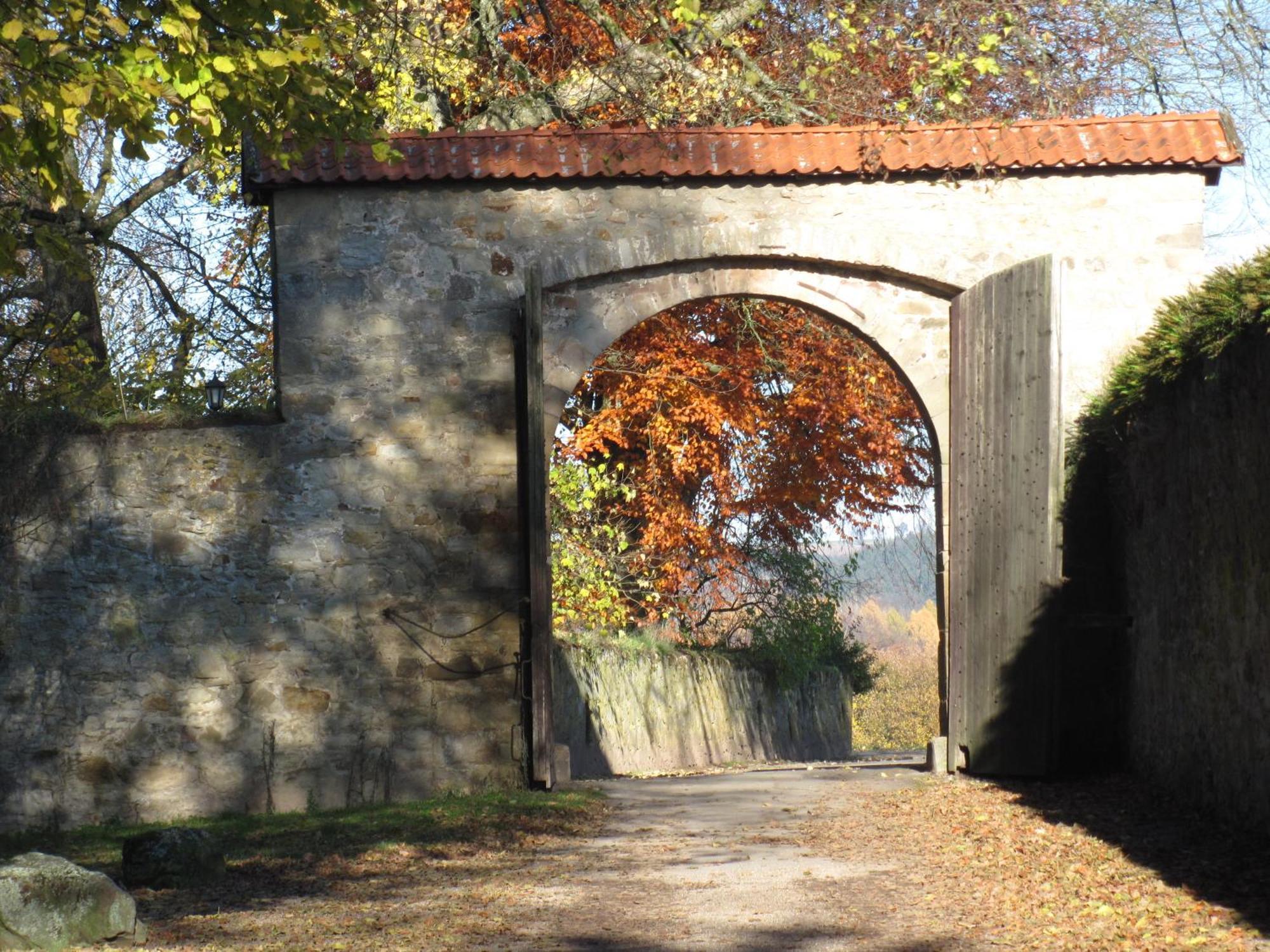 Hotel-Cafe "Schauinsland" Horn-Bad Meinberg Bagian luar foto