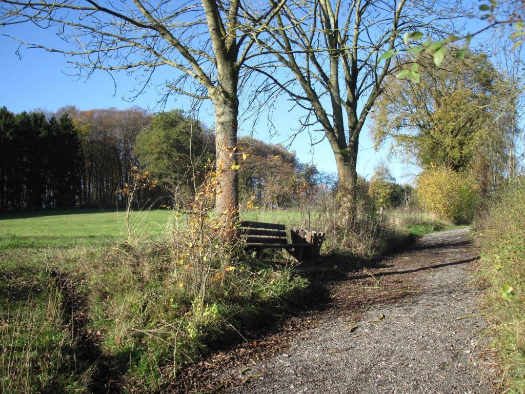 Hotel-Cafe "Schauinsland" Horn-Bad Meinberg Bagian luar foto